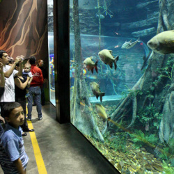 Acuario Parque Explora