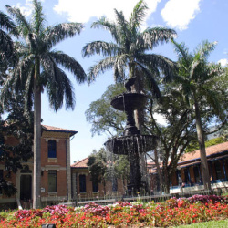 Hospital Universitario San Vicente de Paúl