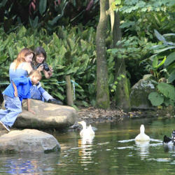 Jardín Botánico de Medellín “Joaquín Antonio Uribe”