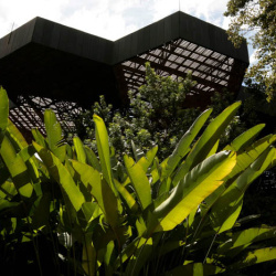 Orquideorama “José Jerónimo Triana”