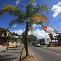 Restaurantes Las Palmas