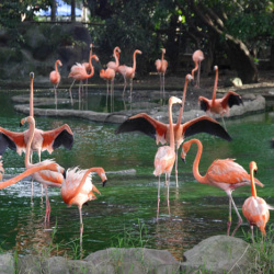 Parque Zoológico Santa Fe