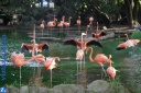 Parque Zoológico Santa Fe